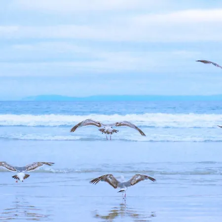 Apartment 14 - Aan De Duinen, Aan Zee Callantsoog