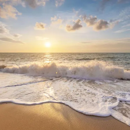14 - Aan De Duinen, Aan Zee Apartment *