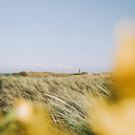 14 - Aan De Duinen, Aan Zee *