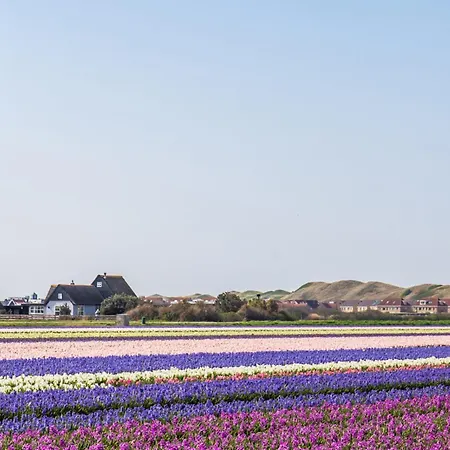 Apartament 14 - Aan De Duinen, Aan Zee *